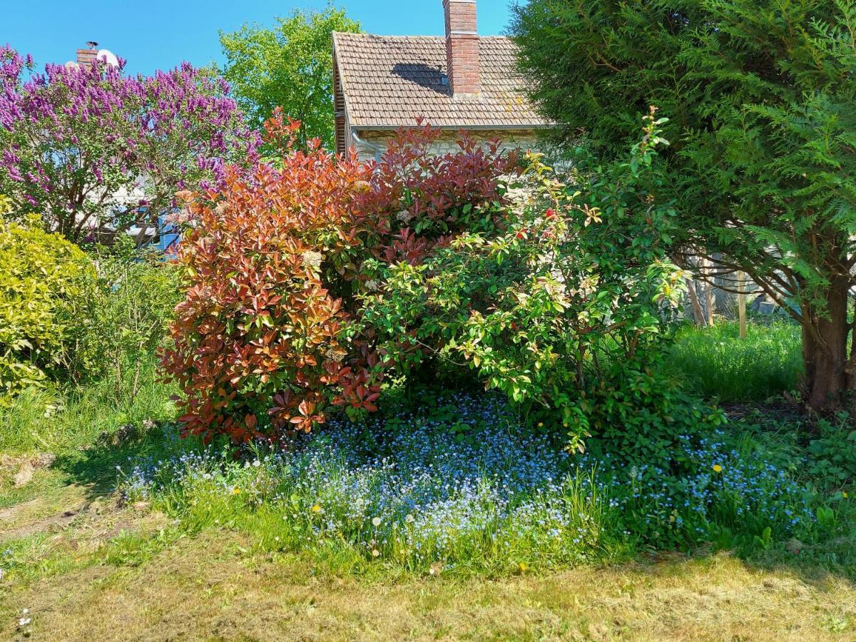 Villa Chez Robins Trie-Château Exterior foto